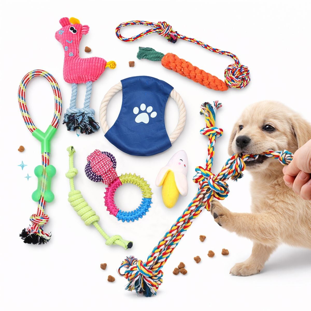 10-Piece Dog Toy Set for Puppy Play and Teeth CleaningStandard