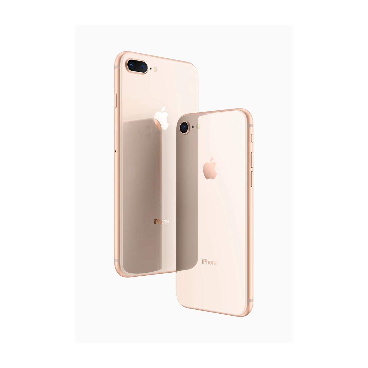 Refurbished iPhone 8 64GB50:210